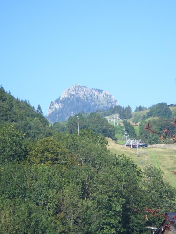 Heidinger Apartment Oberaudorf Luaran gambar